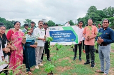 Tree Plantation 2023